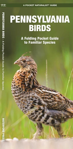 Pennsylvania Birds: A Folding Pocket Guide to Familiar Species (Wildlife and Nature Identification) book cover by James Kavanagh, Waterford Press