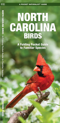 North Carolina Birds: A Folding Pocket Guide to Familiar Species (Wildlife and Nature Identification) book cover by James Kavanagh