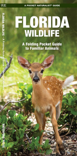 Florida Wildlife: A Folding Pocket Guide to Familiar Animals (Wildlife and Nature Identification) book cover by James Kavanagh, Waterford Press