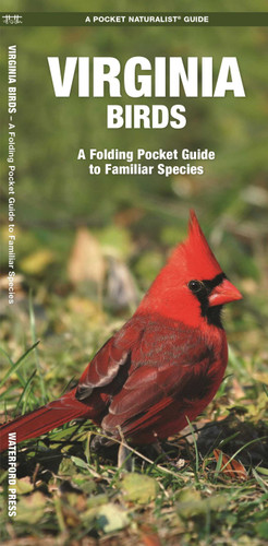 Virginia Birds (Nature Observation North America) book cover by James Kavanagh