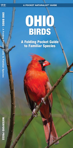 Ohio Birds: A Folding Pocket Guide to Familiar Species (Wildlife and Nature Identification) book cover by James Kavanagh, Waterford Press