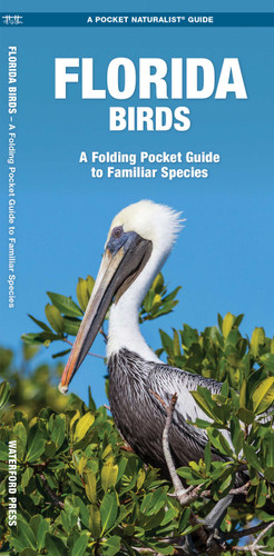 Florida Birds: A Folding Pocket Guide to Familiar Species (Wildlife and Nature Identification) book cover by James Kavanagh, Waterford Press