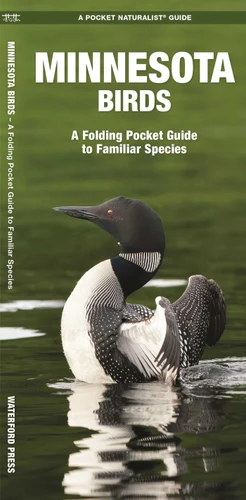 Minnesota Birds: A Folding Pocket Guide to Familiar Species (Wildlife and Nature Identification) book cover by James Kavanagh