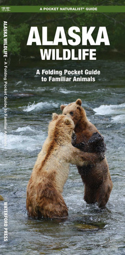 Alaska Wildlife: A Folding Pocket Guide to Familiar Animals (Wildlife and Nature Identification) book cover by James Kavanagh