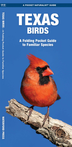 Texas Birds: A Folding Pocket Guide to Familiar Species (Wildlife and Nature Identification) book cover by James Kavanagh, Waterford Press