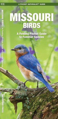 Missouri Birds: A Folding Pocket Guide to Familiar Species (Nature Observation North America) book cover by James Kavanagh, Waterford Press