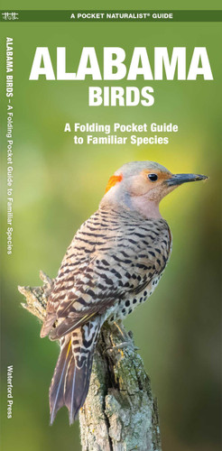 Alabama Birds: A Folding Pocket Guide to Familiar Species (Wildlife and Nature Identification) book cover by James Kavanagh