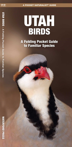 Utah Birds: A Folding Pocket Guide to Familiar Species (Wildlife and Nature Identification) book cover by James Kavanagh
