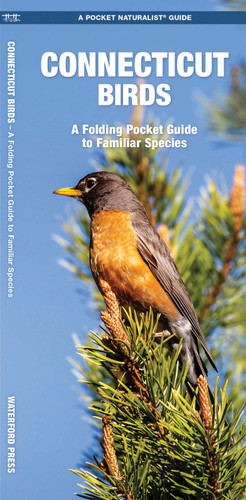 Connecticut Birds: A Folding Pocket Guide to Familiar Species (Wildlife and Nature Identification) book cover by James Kavanagh