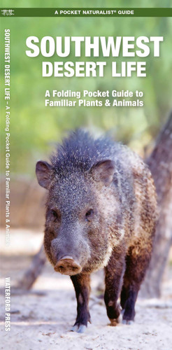 Southwest Desert Life: A Folding Pocket Guide to Familiar Plants & Animals (Wildlife and Nature Identification) book cover by James Kavanagh