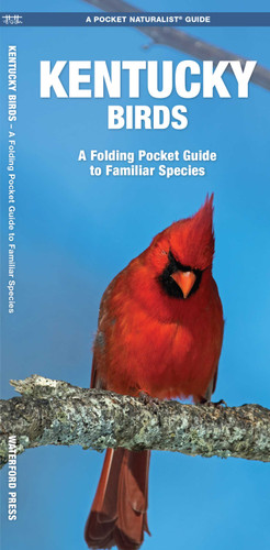 Kentucky Birds: A Folding Pocket Guide to Familiar Species (Wildlife and Nature Identification) book cover by James Kavanagh