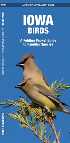 Iowa Birds: A Folding Pocket Guide to Familiar Species (Wildlife and Nature Identification) book cover by James Kavanagh