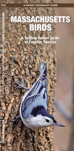 Massachusetts Birds: A Folding Pocket Guide to Familiar Species (Wildlife and Nature Identification) book cover by James Kavanagh, Waterford Press