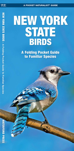 New York State Birds: A Folding Pocket Guide to Familiar Species (Wildlife and Nature Identification) book cover by James Kavanagh
