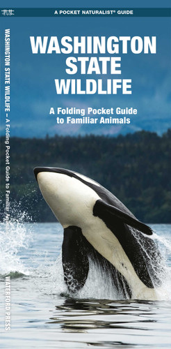 Washington State Wildlife: A Folding Pocket Guide to Familiar Animals (Nature Observation North America) book cover by James Kavanagh