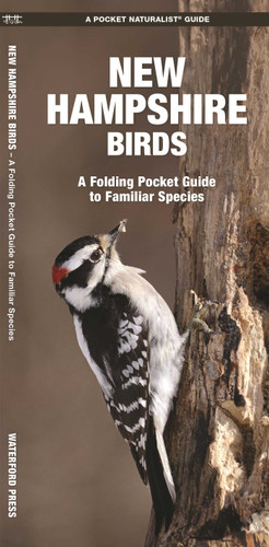 New Hampshire Birds: A Folding Pocket Guide to Familiar Species (Wildlife and Nature Identification) book cover by James Kavanagh