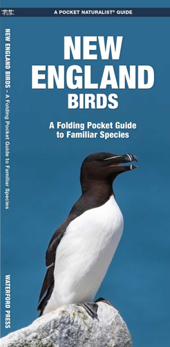 New England Birds (Nature Observation North America) book cover by James Kavanagh, Waterford Press