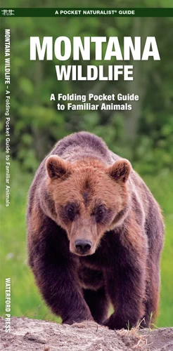 Montana Wildlife: A Folding Pocket Guide to Familiar Animals (Wildlife and Nature Identification) book cover by James Kavanagh