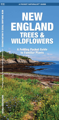 New England Trees & Wildflowers (Nature Observation North America) book cover by James Kavanagh, Waterford Press