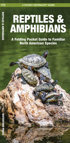 Reptiles & Amphibians (Nature Observation North America) book cover by James Kavanagh
