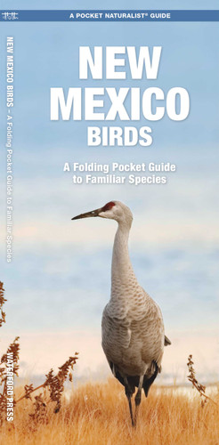 New Mexico Birds: A Folding Pocket Guide to Familiar Species (Nature Observation North America) book cover by James Kavanagh, Waterford Press