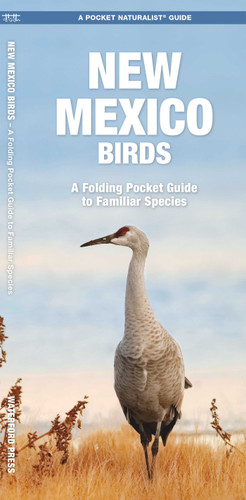 New Mexico Birds: A Folding Pocket Guide to Familiar Species (Wildlife and Nature Identification) book cover by James Kavanagh