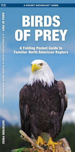 Birds of Prey: A Folding Pocket Guide to Familiar North American Raptors (Wildlife and Nature Identification) book cover by James Kavanagh