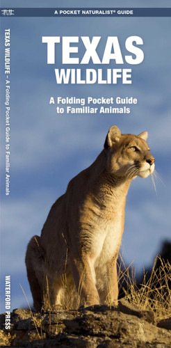 Texas Wildlife: A Folding Pocket Guide to Familiar Animals (Wildlife and Nature Identification) book cover by James Kavanagh, Waterford Press