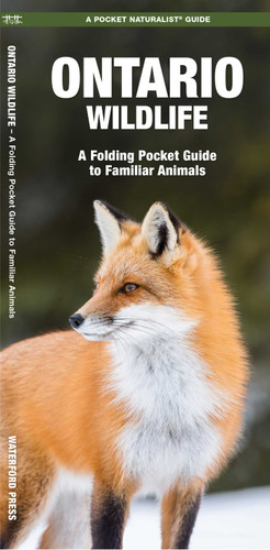 Ontario Wildlife, 2nd Ed: A Folding Pocket Guide to Familiar Animals (Nature Observation North America) book cover by James Kavanagh, Waterford Press