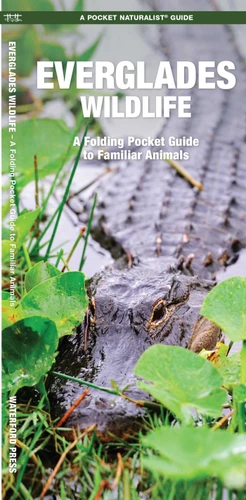 Everglades Wildlife: A Folding Pocket Guide to Familiar Animals (Wildlife and Nature Identification) book cover by James Kavanagh