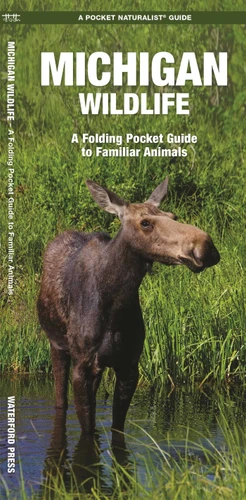 Michigan Wildlife: A Folding Pocket Guide to Familiar Animals (Wildlife and Nature Identification) book cover by James Kavanagh