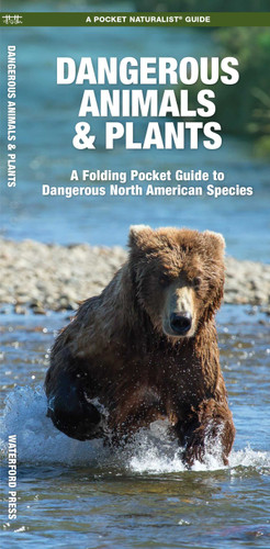 Dangerous Animals & Plants: A Folding Pocket Guide to Dangerous North American Species (Nature Observation North America) book cover by James Kavanagh