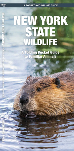 New York State Wildlife: A Folding Pocket Guide to Familiar Animals (Wildlife and Nature Identification) book cover by James Kavanagh
