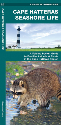 Cape Hatteras Seashore Life (Nature Observation North America) book cover by James Kavanagh