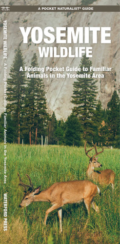 Yosemite Wildlife: A Folding Pocket Guide to Familiar Animals in the Yosemite Area (Wildlife and Nature Identification) book cover by James Kavanagh