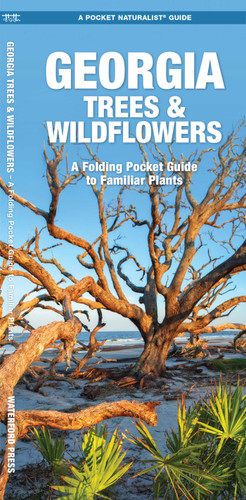 Georgia Trees & Wildflowers: A Folding Pocket Guide to Familiar Plants (Nature Observation North America) book cover by James Kavanagh