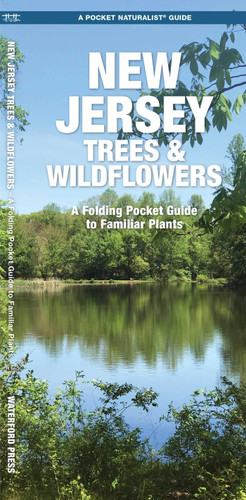 New Jersey Trees & Wildflowers (Nature Observation North America) book cover by James Kavanagh