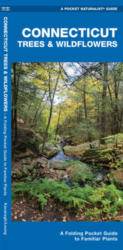 Connecticut Trees & Wildflowers (Nature Observation North America) book cover by James Kavanagh, Waterford Press