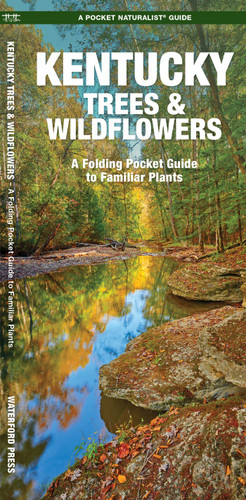 Kentucky Trees & Wildflowers (Nature Observation North America) book cover by James Kavanagh, Waterford Press
