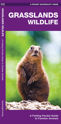 Grasslands Wildlife: A Folding Pocket Guide to Familiar Species Found in Prairie Grasslands (Nature Observation North America) book cover by James Kavanagh, Waterford Press