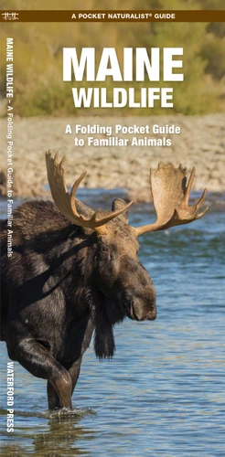 Maine Wildlife: A Folding Pocket Guide to Familiar Animals (Nature Observation North America) book cover by James Kavanagh, Waterford Press