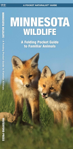 Minnesota Wildlife: A Folding Pocket Guide to Familiar Animals (Wildlife and Nature Identification) book cover by James Kavanagh