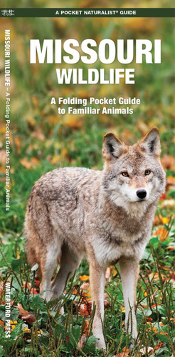 Missouri Wildlife: A Folding Pocket Guide to Familiar Animals (Wildlife and Nature Identification) book cover by James Kavanagh