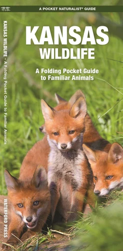 Kansas Wildlife: A Folding Pocket Guide to Familiar Animals (Wildlife and Nature Identification) book cover by James Kavanagh, Waterford Press