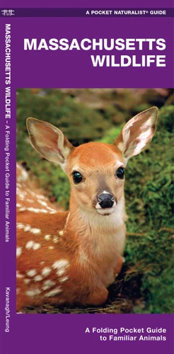 Massachusetts Wildlife: A Folding Pocket Guide to Familiar Animals (Wildlife and Nature Identification) book cover by James Kavanagh, Waterford Press