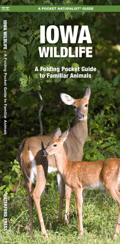 Iowa Wildlife: A Folding Pocket Guide to Familiar Animals (Wildlife and Nature Identification) book cover by James Kavanagh, Waterford Press