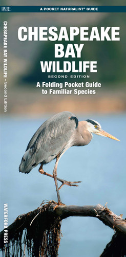 Chesapeake Bay Wildlife, 2nd Ed (Nature Observation North America) book cover by James Kavanagh