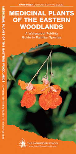 Medicinal Plants of the Eastern Woodlands: A Folding Pocket Guide to Familiar Species (Outdoor Skills and Preparedness) book cover by Dave Canterbury