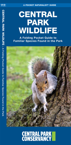 Central Park Wildlife, 2nd Ed (Nature Observation North America) book cover by James Kavanagh, Waterford Press