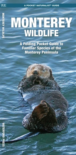 Monterey Wildlife: A Folding Pocket Guide to Familiar Species of the Monterey Peninsula (Wildlife and Nature Identification) book cover by James Kavanagh